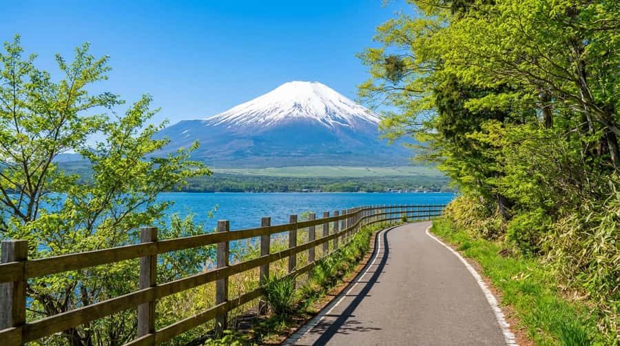 Tokyo: Full-Day Tour of the Six Majestic Spots of Mt Fuji - Key things to know before you go