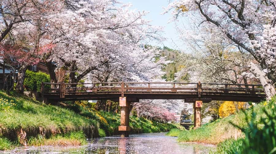 Tokyo: Full-Day Tour of the Six Majestic Spots of Mt Fuji - Arakurayama Sengen Park and the red five-story pagoda