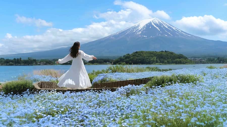 Tokyo: Full-Day Tour of the Six Majestic Spots of Mt Fuji - Oshino Hakkai springs: where Fuji water becomes a walkable wonder