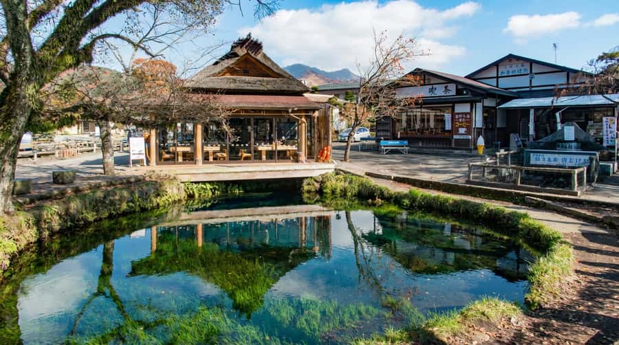 Tokyo: Full-Day Tour of the Six Majestic Spots of Mt Fuji - Oishi Park seasonal flowers: Fuji’s monthly color palette