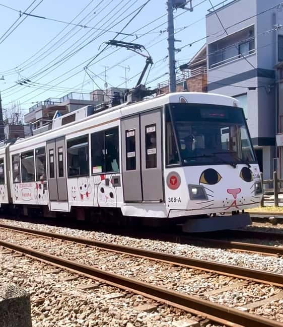 Tokyo: Gotokuji Cat Temple, Shinjuku Cat Cafe & 3D Cat Tour - Who This Tour Suits Best, and Who Should Skip