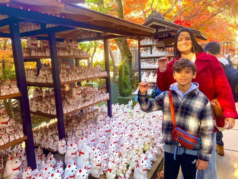 Tokyo: Gotokuji Cat Temple, Shinjuku Cat Cafe & 3D Cat Tour - A Tokyo Cat Tour With Real Culture, Not Just Photos