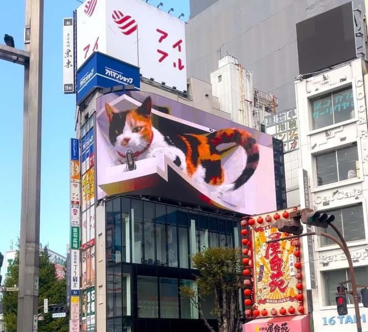 Tokyo: Gotokuji Cat Temple, Shinjuku Cat Cafe & 3D Cat Tour - The Train Ride: A Rest Between Cat Zones