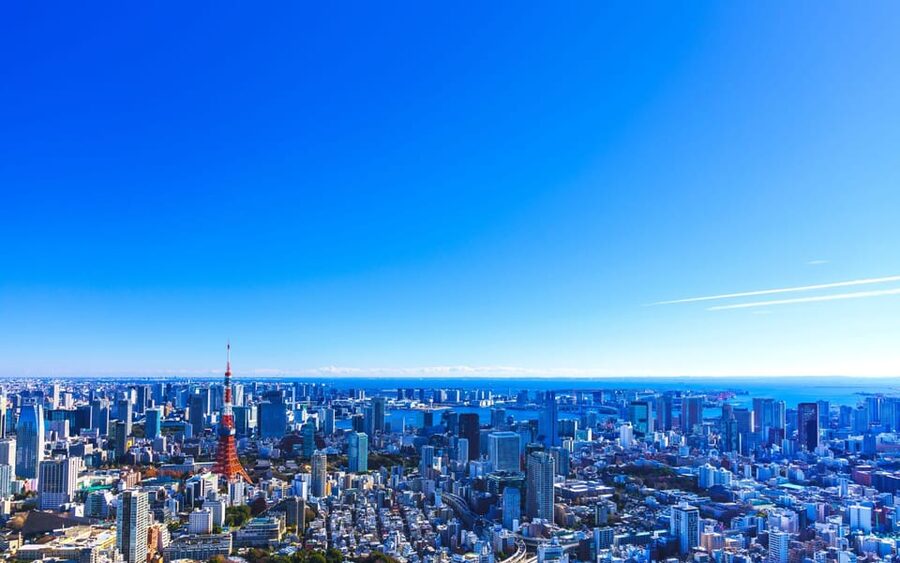 Tokyo: Guided Helicopter Ride - In the Air Over Tokyo: What You’ll See and Why It Matters