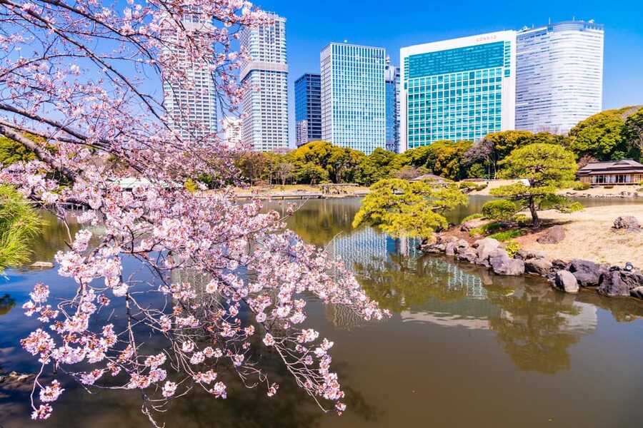 Tokyo: Hama-rikyu Gardens tour with Japanese Tea & Sweets - Starting points and pacing: the practical flow you should plan for