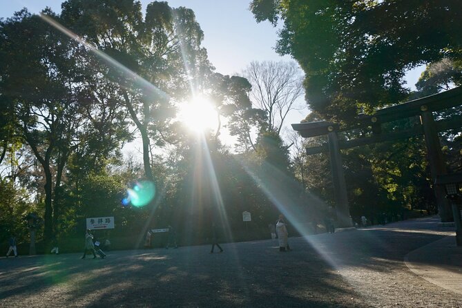 Tokyo: Harajuku Meiji Shrine to Shibuya Crossing Guided Tour - Who should book this tour, and who might want something else