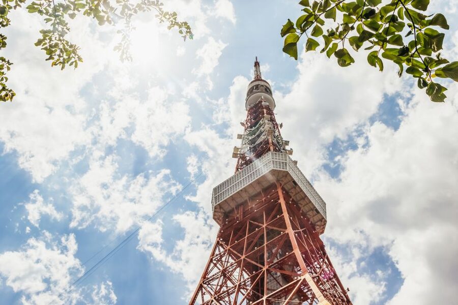 Tokyo: Hop-On Hop-Off Sightseeing Bus Ticket - Value check: is $30 worth it, or should you buy train tickets?