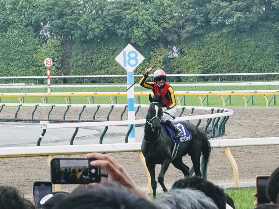 Tokyo: Horse Racing Tour with Local Fan - Key things you should know before you go