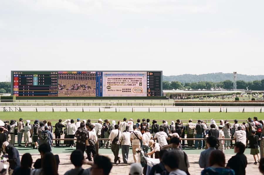 Tokyo: Horse Racing Tour with Local Fan - Meeting your guide and getting your reserved seat ticket