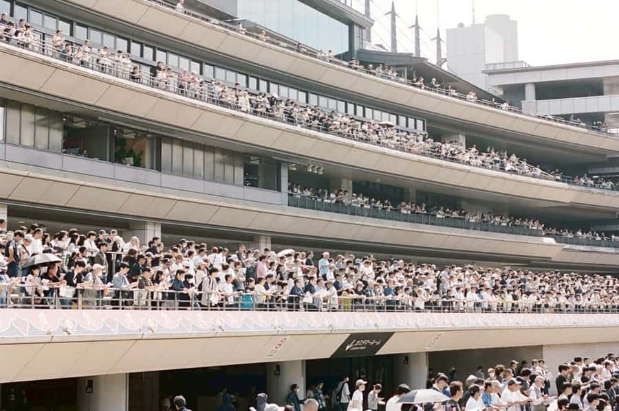 Tokyo: Horse Racing Tour with Local Fan - Who this tour suits best, and who should skip it