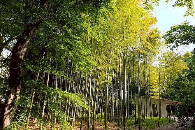 Tokyo: Imperial Palace and Shogun Historical Walking Tour - Quick hits before you go