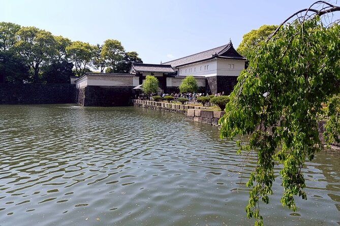 Tokyo: Imperial Palace and Shogun Historical Walking Tour - Walking reality: comfort, slopes, and what to wear