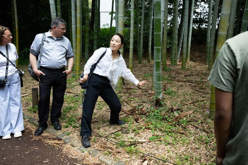 Tokyo: Imperial Palace East Gardens Walking Tour - Price and value: $19 for a guided history-garden blend