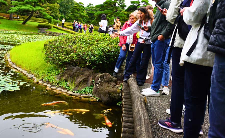 Tokyo: Imperial Palace Japanese History Walking Tour - Meeting Your Guide at Starbucks near the Wadakuramon Fountain