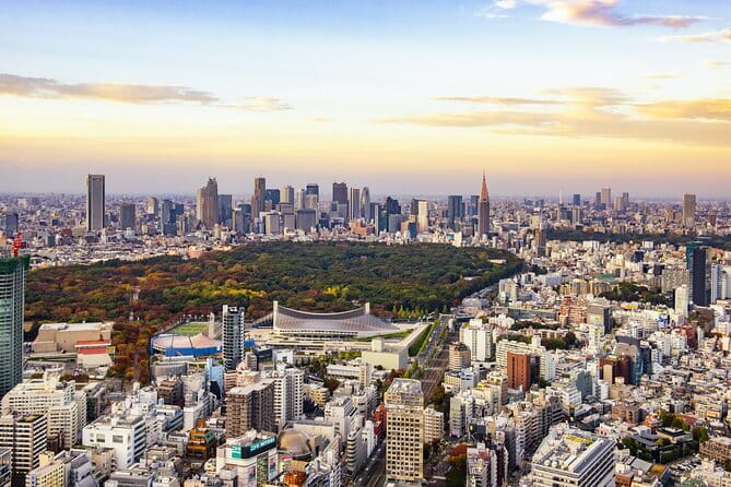 【Tokyo】JDM Daikoku Parking Area & Nissan Facility Tour - Who This JDM Daikoku and Nissan Tour Is Best For
