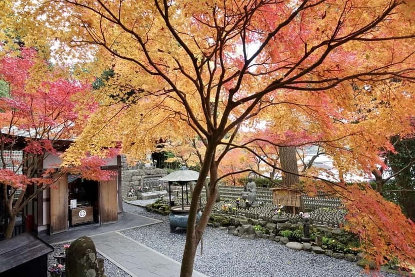 Tokyo: Kamakura & Enoshima Day Trip including Temple Tickets - Key highlights worth your attention