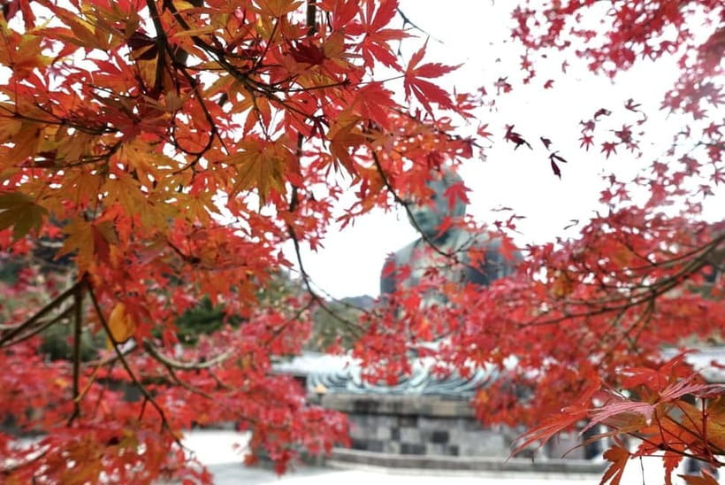 Tokyo: Kamakura & Enoshima Day Trip including Temple Tickets - Enoshima by the sea: Fuji on clear days and the Shonan rhythm