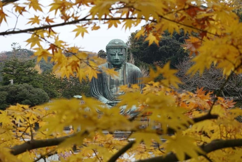 Tokyo: Kamakura & Enoshima Day Trip including Temple Tickets - Who this Kamakura and Enoshima day trip is best for