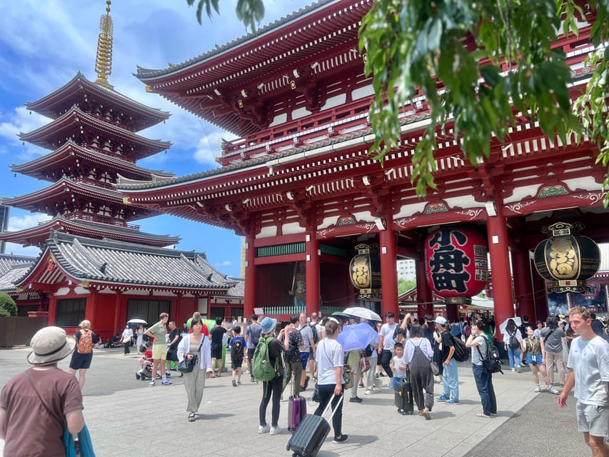 Tokyo: Meiji Jingu Shrine and Shinto Culture Walking Tour - Why Meiji Jingu is Tokyo’s spiritual reset
