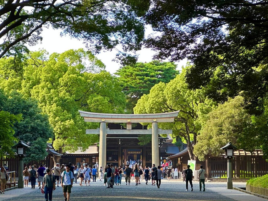 Tokyo: Meiji Jingu Shrine and Shinto Culture Walking Tour - The big torii gate: understanding the boundary