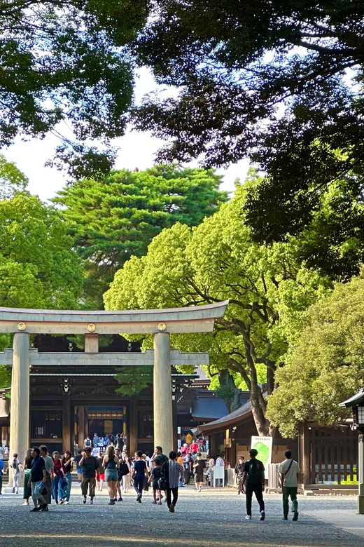 Tokyo: Meiji Jingu Shrine and Shinto Culture Walking Tour - Price and value: why $19 can be a smart first-day investment