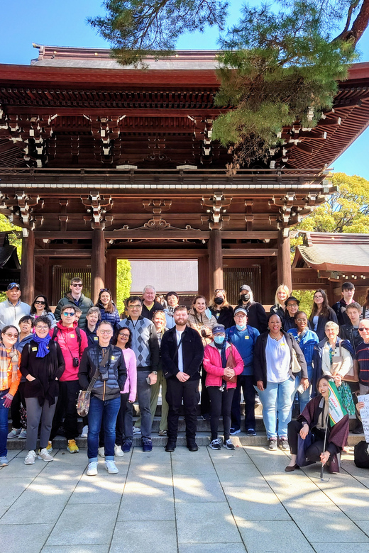 Tokyo: Meiji Shrine, Asakusa, Skytree Bus Tour and Cruise - Odaiba and the Bay Cruise: the best finale, with Tuesday and weather backups