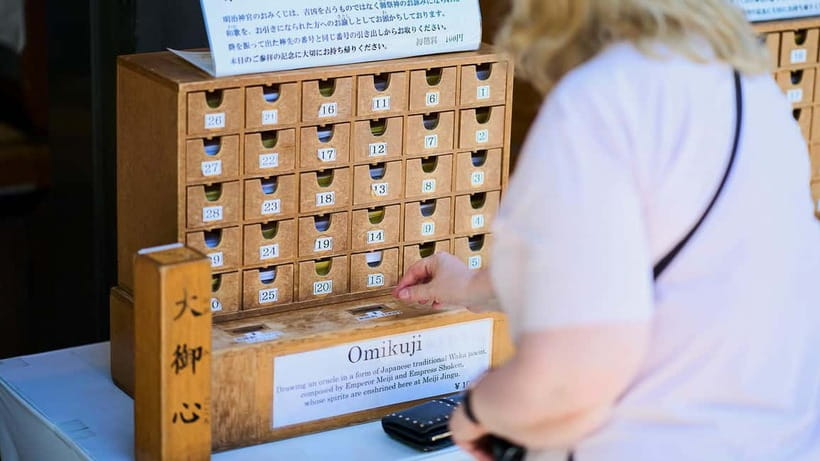 Tokyo: Meiji Shrine Walking Tour — Shinto & Imperial System - The Big Torii and the Imperial System Story in Simple Terms