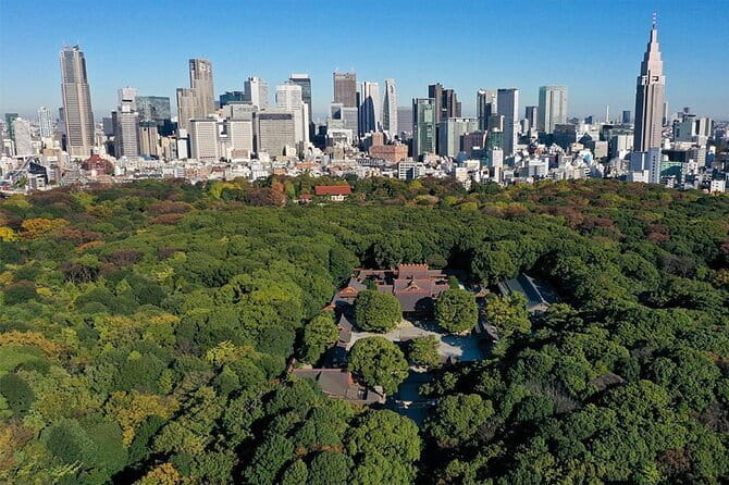 Tokyo: Meiji Shrine Walking Tour — Shintoism & Imperial System - The Walk to the Shrine: Giant Torii, Sake Barrels, and Purification Steps