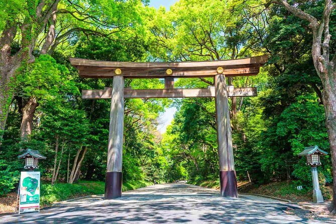 Tokyo Morning Tour : Meiji Shrine, Asakusa and Fish Market - Meiji Jingu Shrine: forest calm, torii gates, and the meaning behind the walk