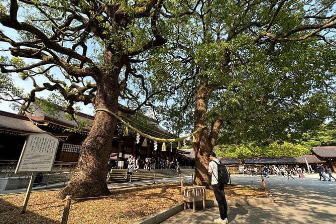 Tokyo Morning Tour : Meiji Shrine, Asakusa and Fish Market - Sweet mochi, sweet potato, and savory cutlet: the street-food strategy