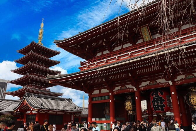 Tokyo Morning Tour : Meiji Shrine, Asakusa and Fish Market - Guide and pacing: why names like Shoma Sato and Yosuke come up