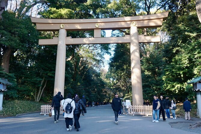 Tokyo Morning Tour : Meiji Shrine, Asakusa and Fish Market - Price value: what $72.67 covers, and what it does not