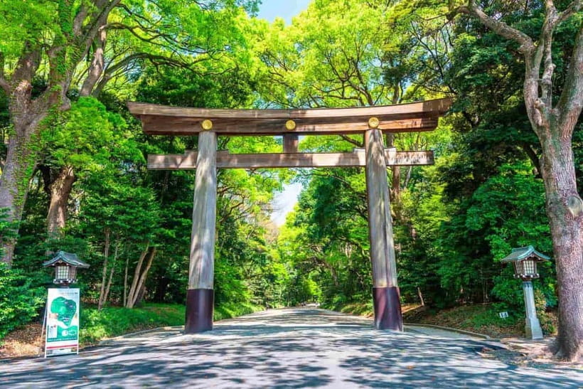 Tokyo Morning Tour: Meiji Shrine, Asakusa & Fish Market - Meiji Jingu Shrine: Calm First, Then Context