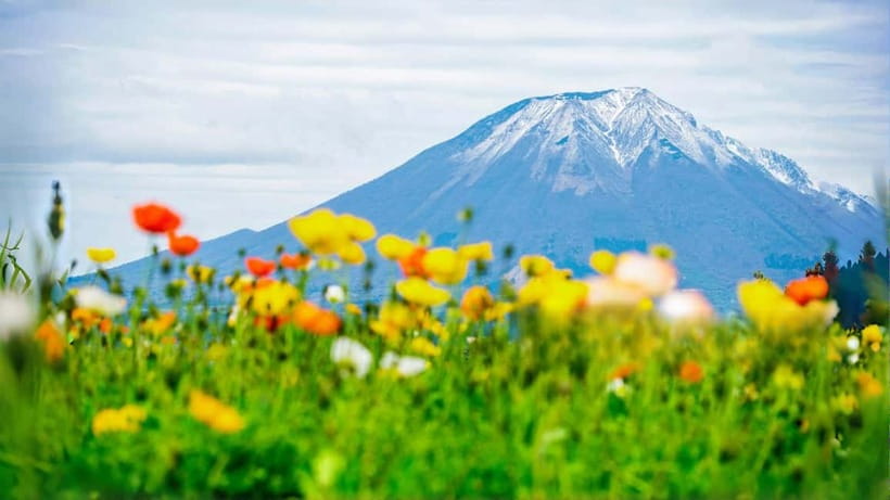 Tokyo: Mount Fuji 5th Station & Onsen Day Trip - Mt. Fuji 5th Station: photos, souvenirs, and the postcard effect