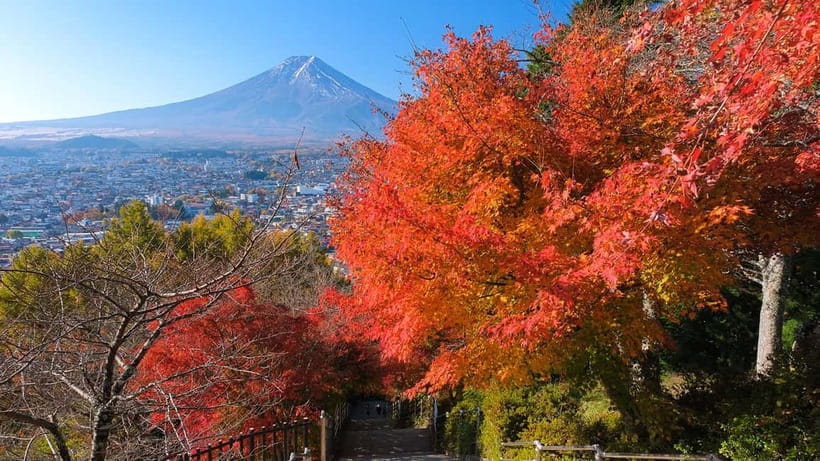 Tokyo: Mount Fuji 5th Station & Onsen Day Trip - Oshino Hakkai ponds: where Fuji snowmelt becomes real water