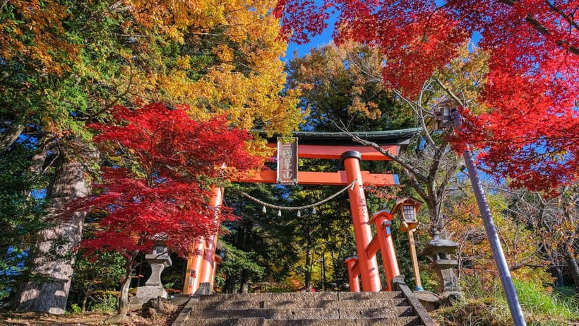 Tokyo: Mount Fuji 5th Station & Onsen Day Trip - Guide quality and bus comfort: what to do if narration is not perfect