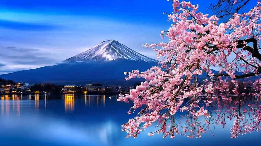 Tokyo: Mount Fuji and Hakone private sightseeing tour - How this private Fuji and Hakone day really plays out