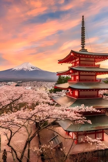 Tokyo: Mount Fuji and Hakone private sightseeing tour - Who this private tour is best for