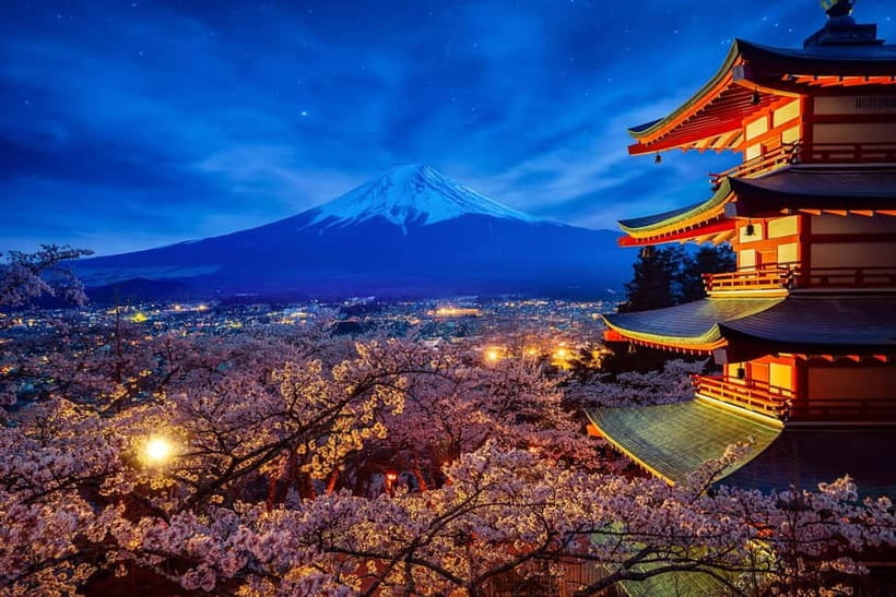 Tokyo: Mount Fuji & Hakone Private Tour with Guide - How long is too long: pacing, custom changes, and weather reality