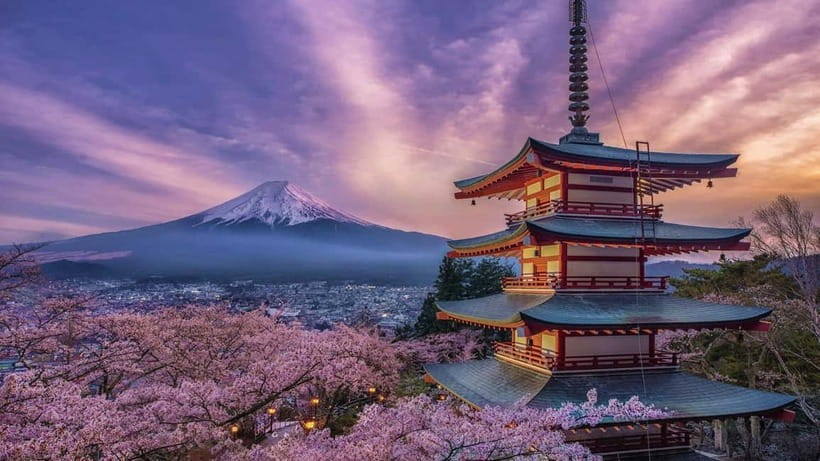 Tokyo: Mount Fuji & Hakone Private Tour with Guide - Why this private Fuji-Hakone day feels worth the price