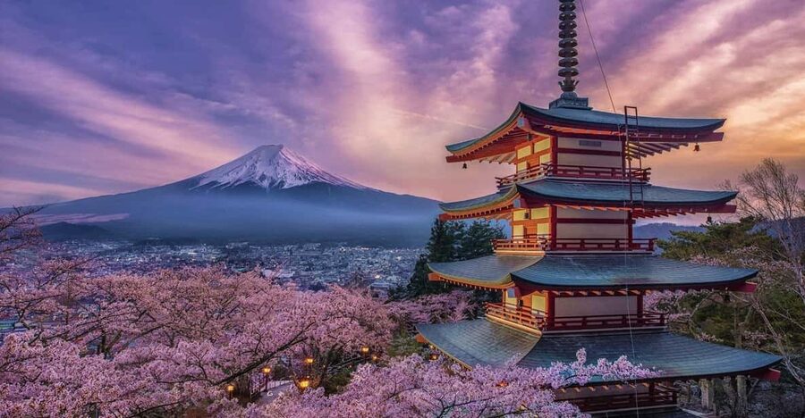 Tokyo: Mount Fuji & Hakone Private Tour with Guide - Starting in Tokyo: pickup that actually sets you up for success