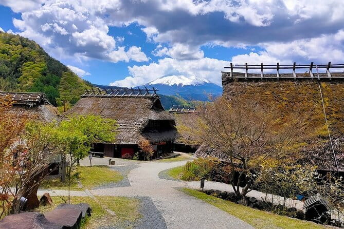 Tokyo: Mount Fuji Must-see Attractions One Day Sightseeing Tour - Price, Transfers, and Mobile Ticket Convenience