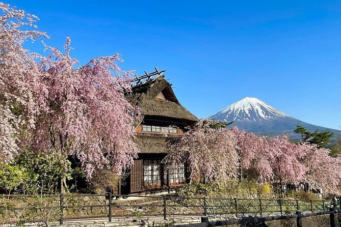 Tokyo: Mount Fuji Must-see Attractions One Day Sightseeing Tour - Stop 2: Lake Kawaguchiko, 20 Minutes for the Most Classic Fuji Picture