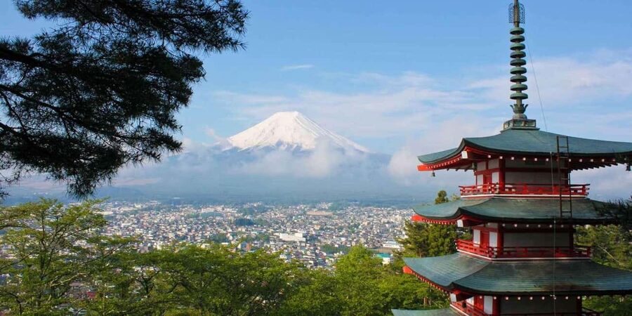 Tokyo: Mount Fuji Private Tour with Scenic Lunch Experience - Key things that make this Fuji tour worth your time
