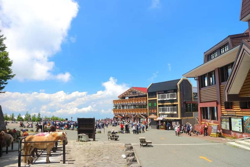 Tokyo: Mt. Fuji 5th St, Gotemba & Hakone by Luxury Bus - Key things that make this tour a smart day trip