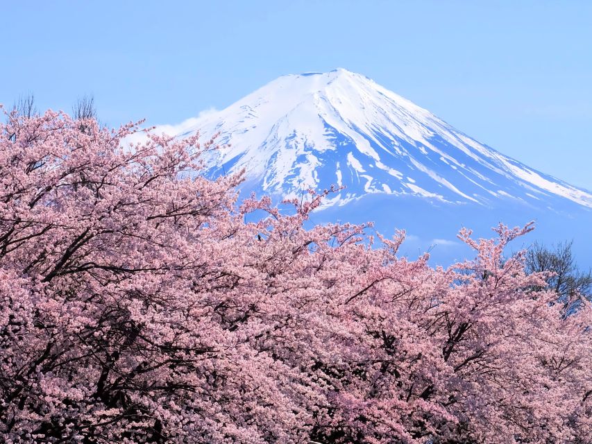 Tokyo: Mt. Fuji 5th Station & Hakone Cruise 1-Day Bus Tour - Key Things That Make This Day Trip Worth Your Time