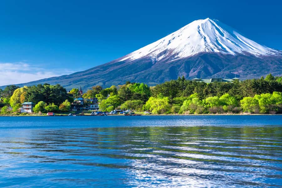 Tokyo: Mt. Fuji 5th Station, Kawaguchiko Tour w/ Cable Car - Lunch, comfort, and the small details that make or break a day trip