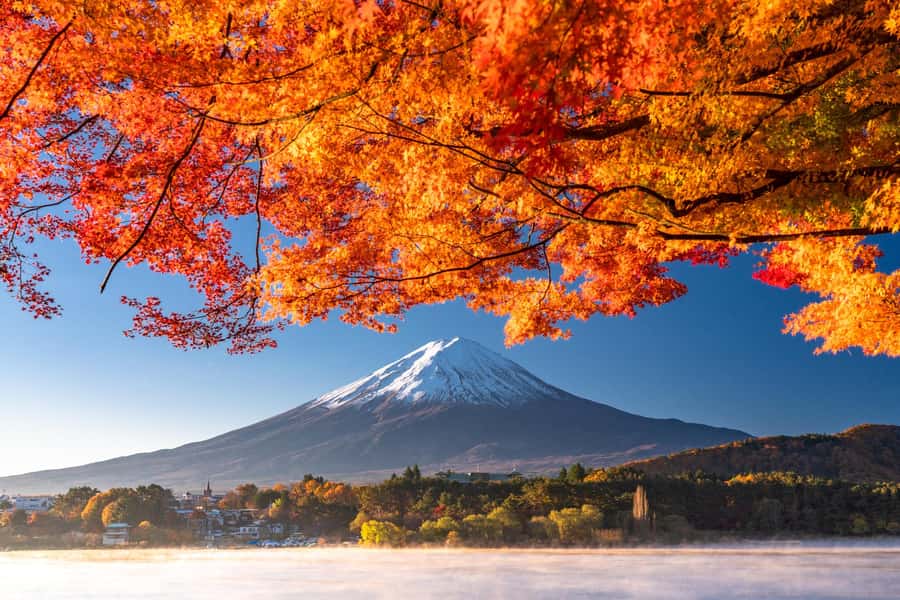 Tokyo: Mt. Fuji 5th Station, Kawaguchiko Tour w/ Cable Car - Mt. Fuji 5th Station: the view above the clouds