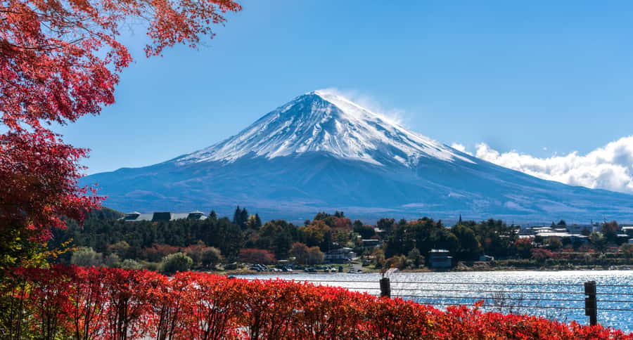 Tokyo: Mt. Fuji 5th Station, Kawaguchiko Tour w/ Cable Car - Kawaguchiko by taxi and on-the-ground freedom