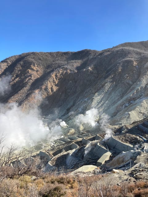 Tokyo: Mt. Fuji and Hakone Tour with Cable Car and Cruise - Hakone Ropeway to Owakudani: volcanic sights with a clear health warning